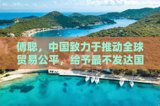 傅聪，中国致力于推动全球贸易公平，给予最不发达国家零关税的特殊关照