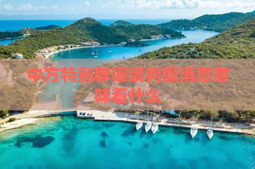 中方特别辟谣谈判假消息意味着什么