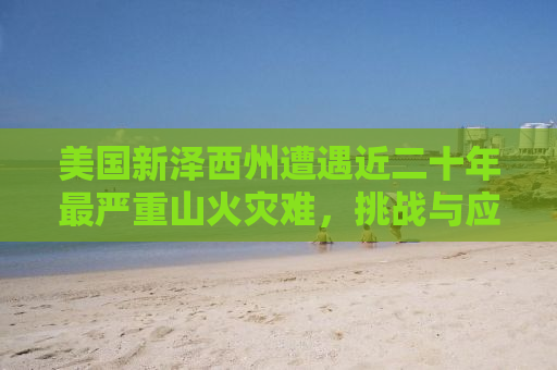美国新泽西州遭遇近二十年最严重山火灾难，挑战与应对