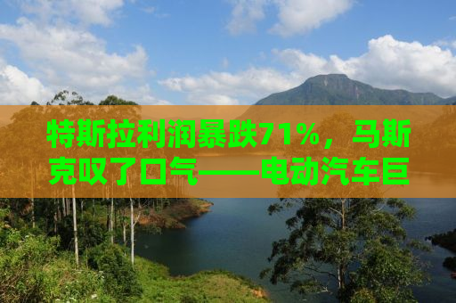 特斯拉利润暴跌71%，马斯克叹了口气——电动汽车巨头面临挑战与未来展望