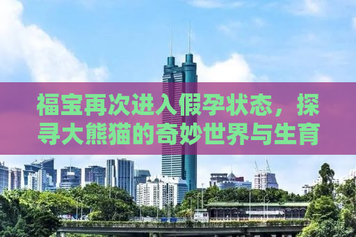 福宝再次进入假孕状态，探寻大熊猫的奇妙世界与生育之谜