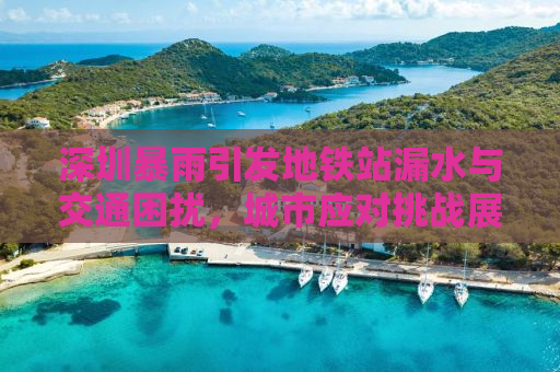深圳暴雨引发地铁站漏水与交通困扰，城市应对挑战展现韧性