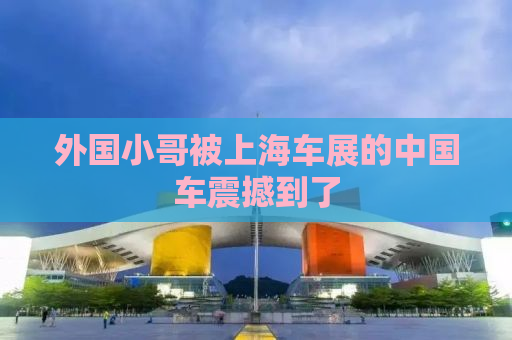 外国小哥被上海车展的中国车震撼到了