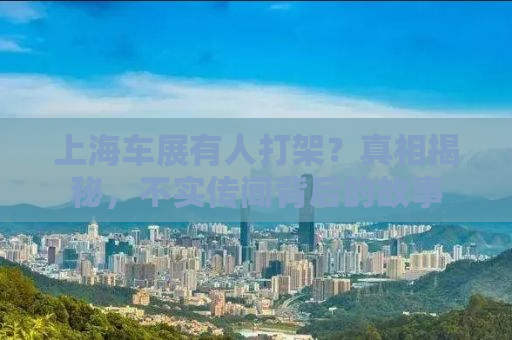 上海车展有人打架？真相揭秘，不实传闻背后的故事