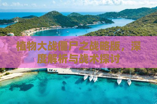 植物大战僵尸之战略版，深度解析与战术探讨