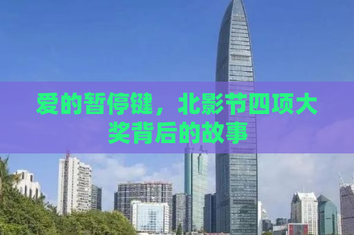 爱的暂停键，北影节四项大奖背后的故事