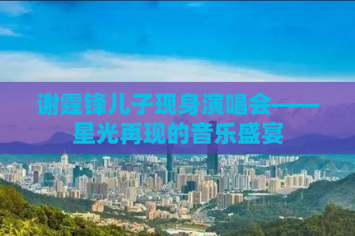 谢霆锋儿子现身演唱会——星光再现的音乐盛宴
