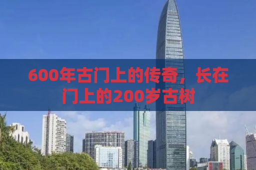 600年古门上的传奇，长在门上的200岁古树