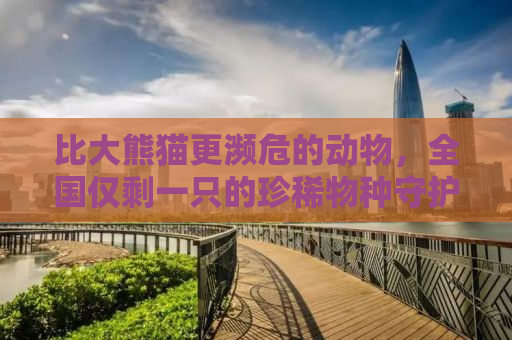 比大熊猫更濒危的动物，全国仅剩一只的珍稀物种守护者