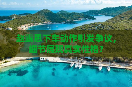 赵露思下车动作引发争议，细节展现真实性格？