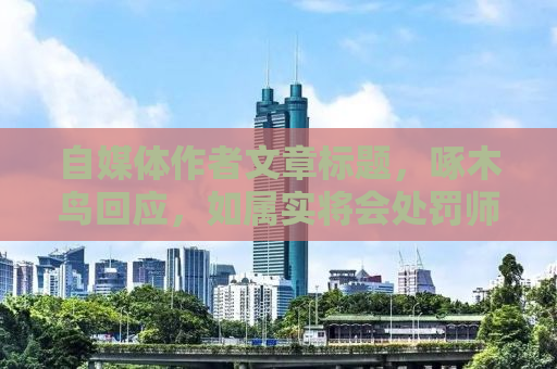 自媒体作者文章标题，啄木鸟回应，如属实将会处罚师傅——深度探讨背后的故事与挑战