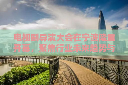 电视剧导演大会在宁波隆重开幕，聚焦行业未来趋势与创新发展