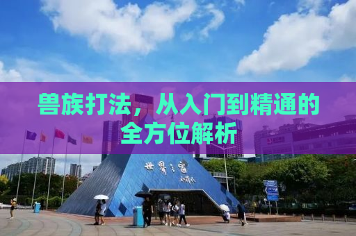 兽族打法，从入门到精通的全方位解析