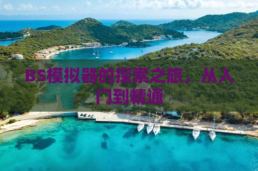 BS模拟器的探索之旅，从入门到精通