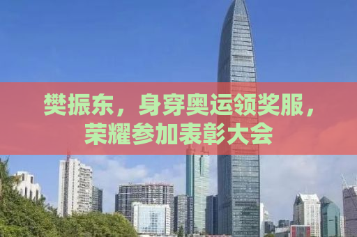 樊振东，身穿奥运领奖服，荣耀参加表彰大会