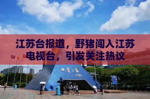 江苏台报道，野猪闯入江苏电视台，引发关注热议