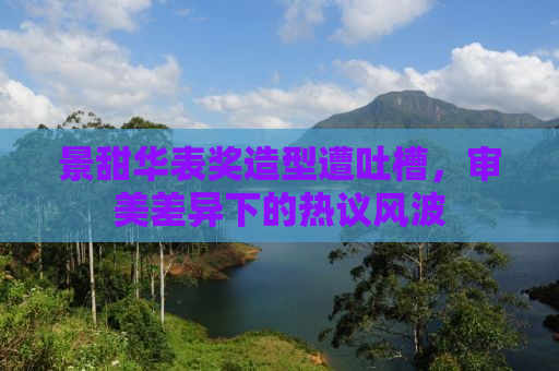 景甜华表奖造型遭吐槽，审美差异下的热议风波