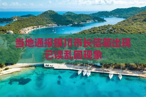 当地通报银川市长信箱出现已读乱回现象