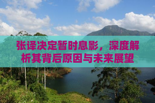 张译决定暂时息影，深度解析其背后原因与未来展望