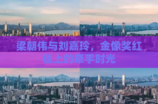 梁朝伟与刘嘉玲，金像奖红毯上的牵手时光