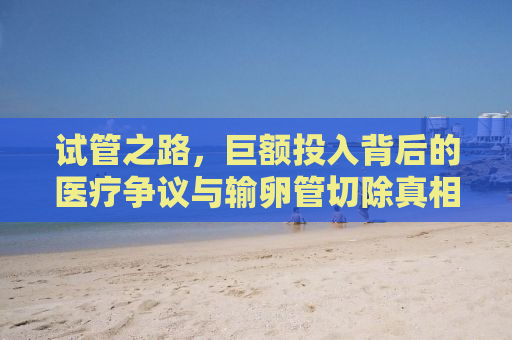 试管之路，巨额投入背后的医疗争议与输卵管切除真相揭秘