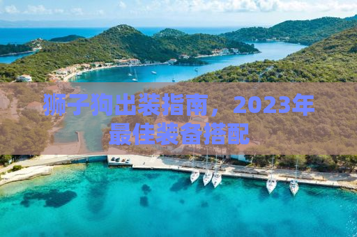 狮子狗出装指南，2023年最佳装备搭配