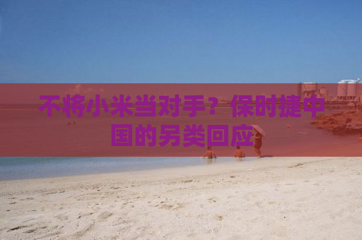 不将小米当对手？保时捷中国的另类回应