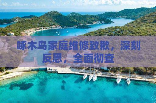 啄木鸟家庭维修致歉，深刻反思，全面彻查