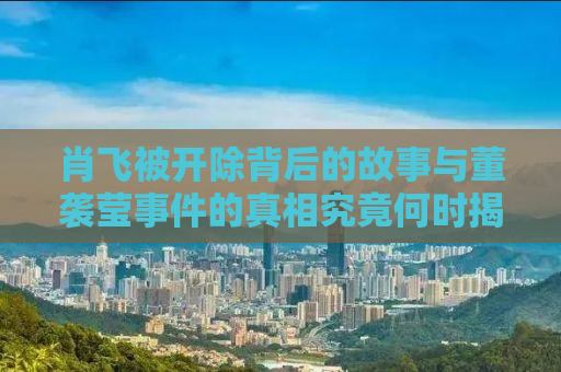 肖飞被开除背后的故事与董袭莹事件的真相究竟何时揭晓？