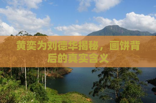 黄奕为刘德华揭秘，画饼背后的真实含义