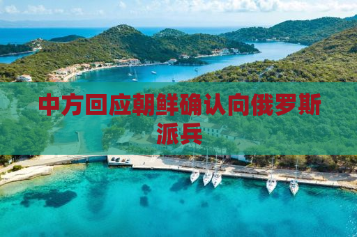 中方回应朝鲜确认向俄罗斯派兵
