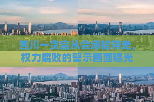 四川一贪官从会场被带走，权力腐败的警示画面曝光