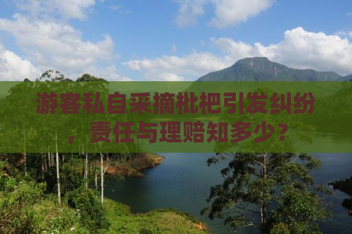 游客私自采摘枇杷引发纠纷，责任与理赔知多少？
