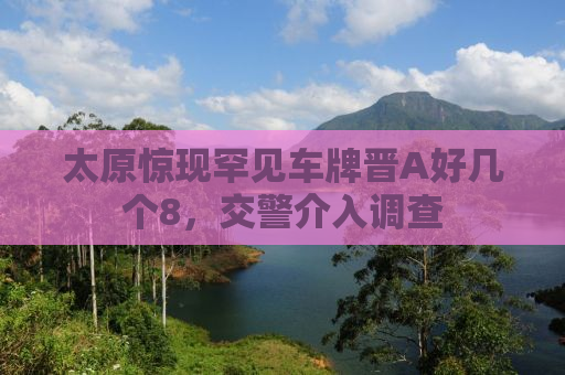 太原惊现罕见车牌晋A好几个8，交警介入调查
