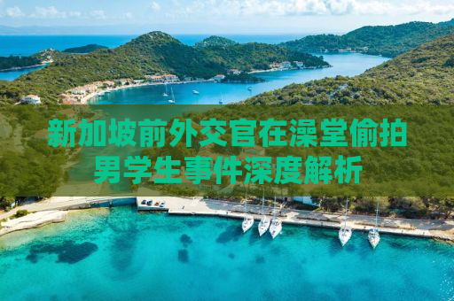 新加坡前外交官在澡堂偷拍男学生事件深度解析