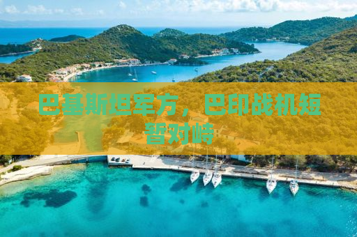 巴基斯坦军方，巴印战机短暂对峙