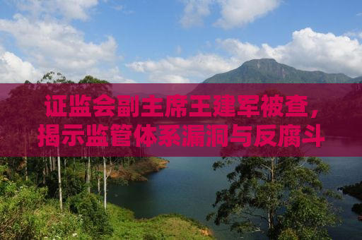 证监会副主席王建军被查，揭示监管体系漏洞与反腐斗争的深化