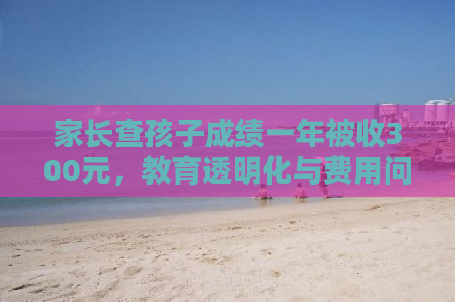 家长查孩子成绩一年被收300元，教育透明化与费用问题的思考