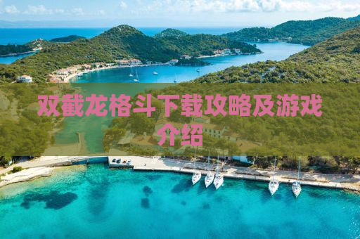 双截龙格斗下载攻略及游戏介绍
