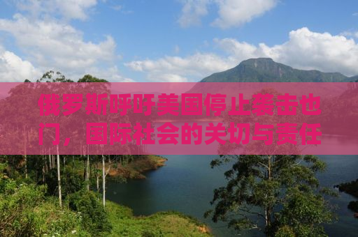 俄罗斯呼吁美国停止袭击也门，国际社会的关切与责任担当