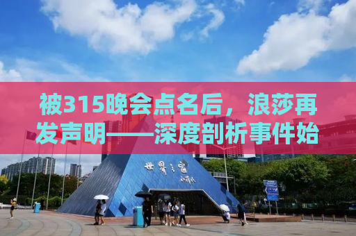 被315晚会点名后，浪莎再发声明——深度剖析事件始末与企业的应对之道