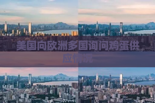 美国向欧洲多国询问鸡蛋供应情况