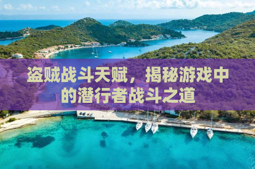 盗贼战斗天赋，揭秘游戏中的潜行者战斗之道