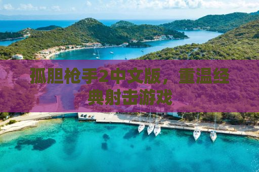 孤胆枪手2中文版，重温经典射击游戏