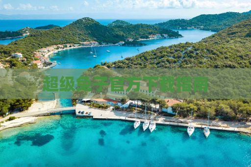 超级兔子官方下载指南