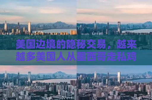 美国边境的隐秘交易，越来越多美国人从墨西哥走私鸡蛋