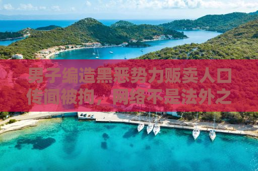 男子编造黑恶势力贩卖人口传闻被拘，网络不是法外之地
