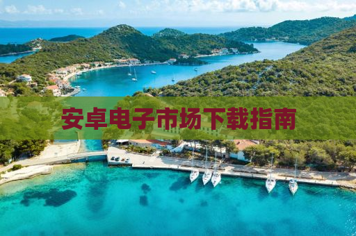 安卓电子市场下载指南