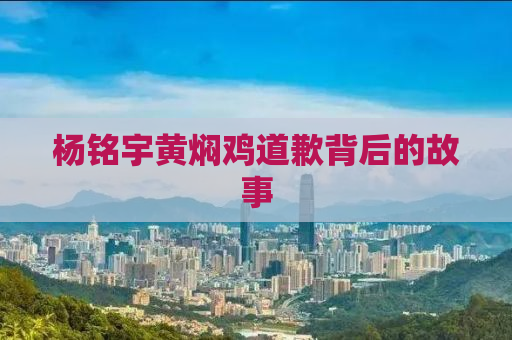杨铭宇黄焖鸡道歉背后的故事