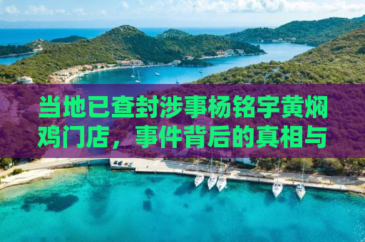 当地已查封涉事杨铭宇黄焖鸡门店，事件背后的真相与反思